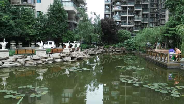 宝泰家园外景图