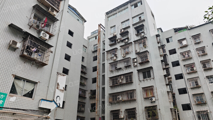 上海大道197号外景图