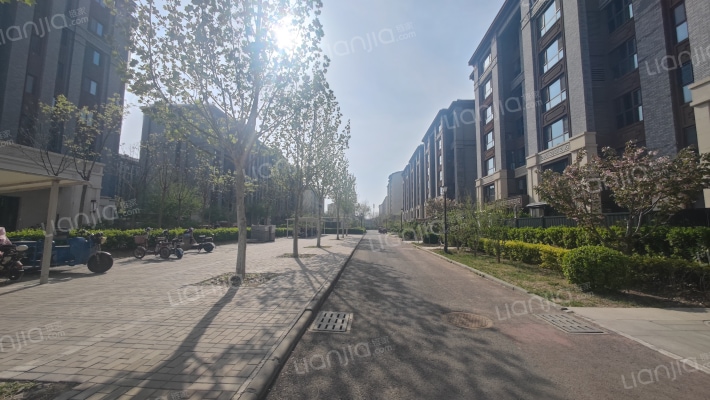 棕榈名邸外景图