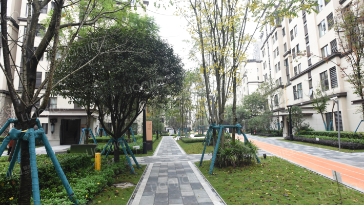 万科御澜山外景图