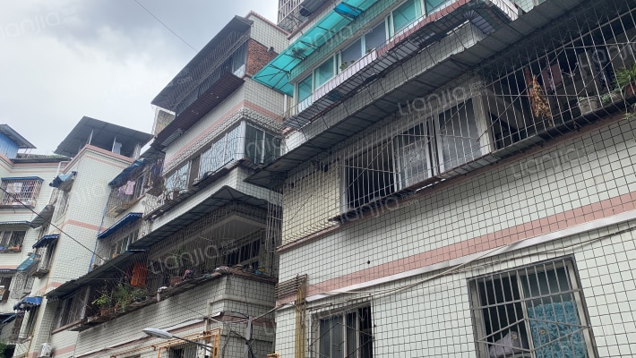 银杏春天D区外景图