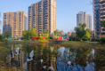 碧桂园学府壹号户型图实景图
