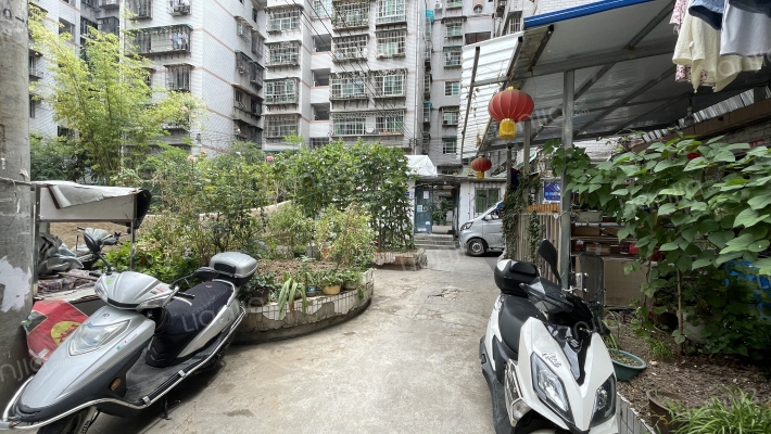 沙冲北路165号外景图