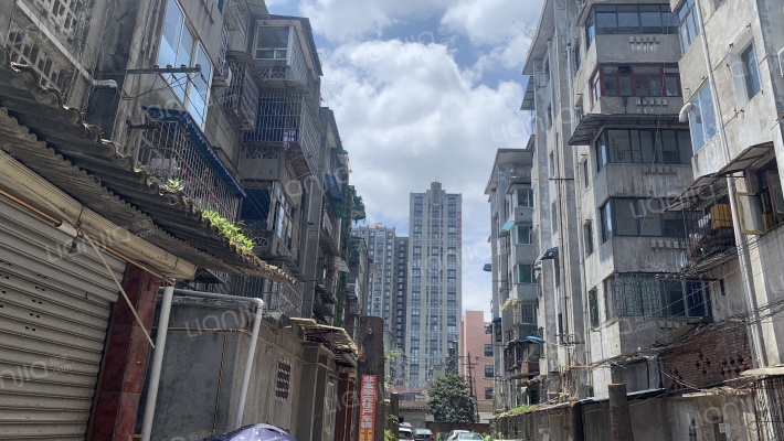 金星巷2号外景图