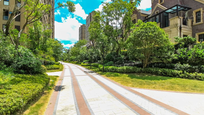 水岸枫情外景图