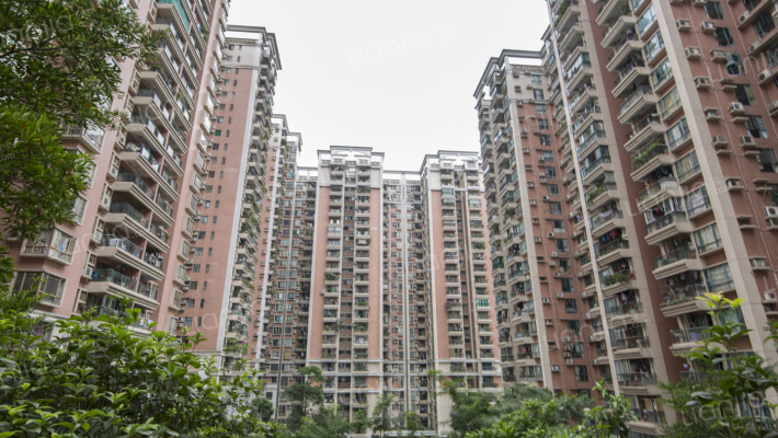 富力广场B区外景图