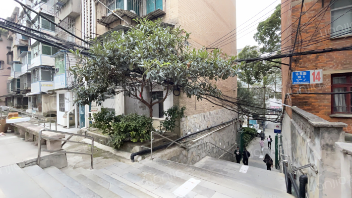 市东路50号外景图