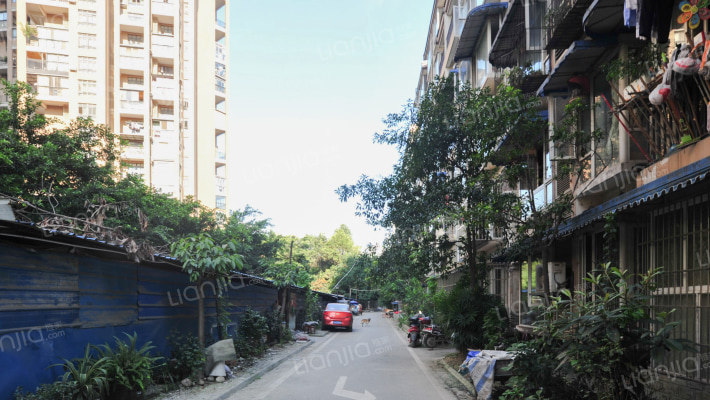 怡新苑(金牛)外景图