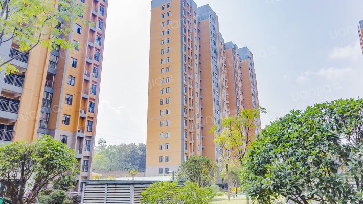 岭尚梦想外景图