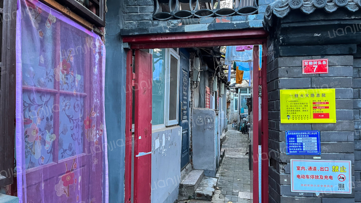 双柳树头条外景图