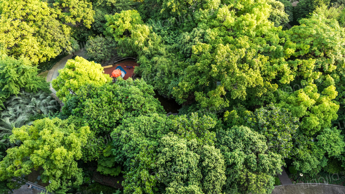 虹桥华庭外景图