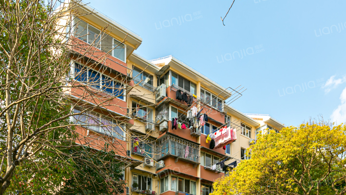 上海东城新村房价怎么样?