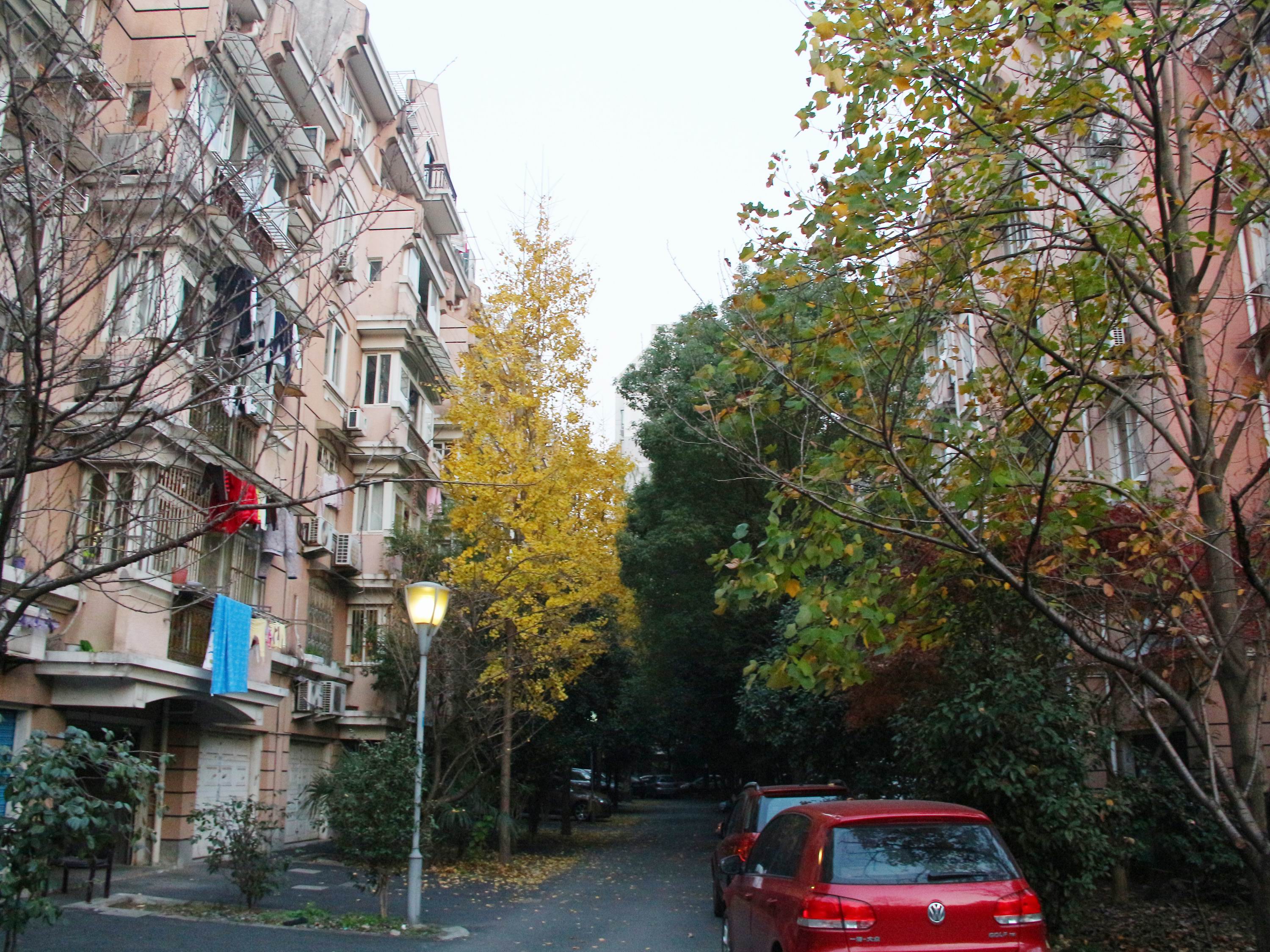 Jialv  Xiyuan compound photo 8