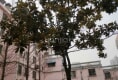 城东园区户型图实景图