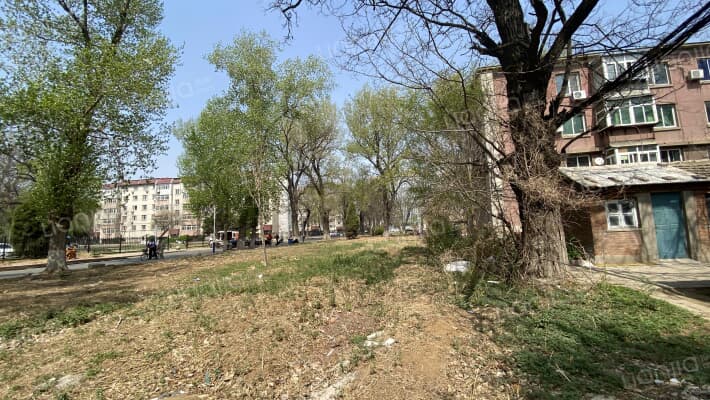 601所家属楼外景图