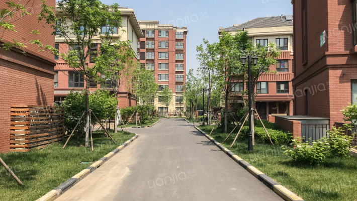 亿利国际生态岛外景图