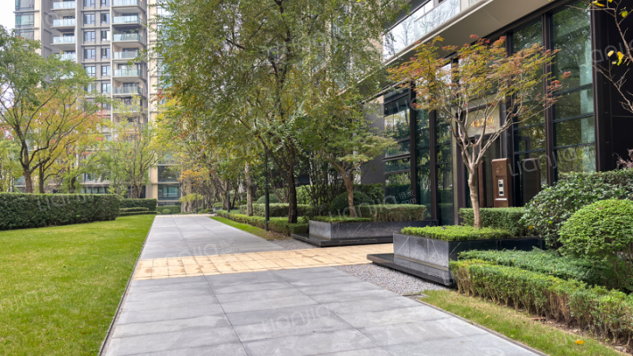 龙湖尘林间外景图