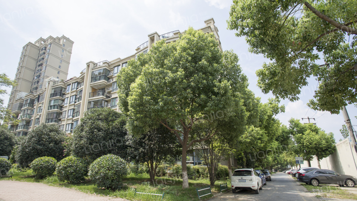 和一花园外景图