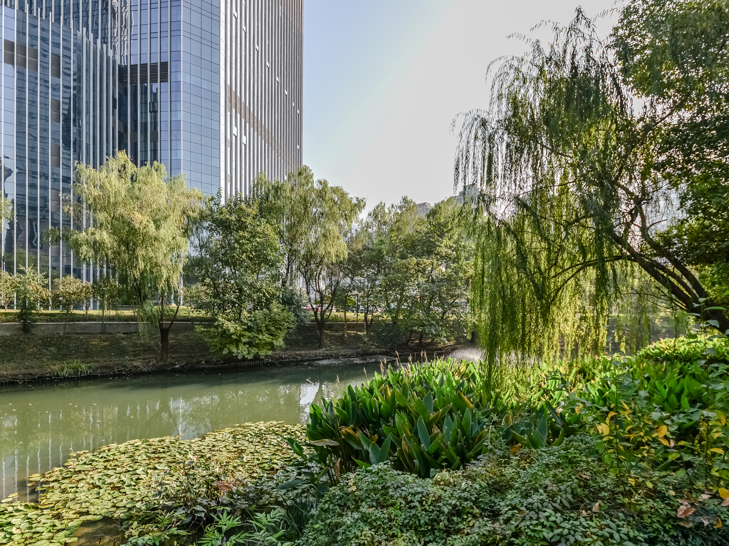 Shi Bao International compound photo 18