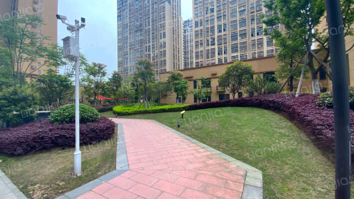 泊湖天下一期外景图