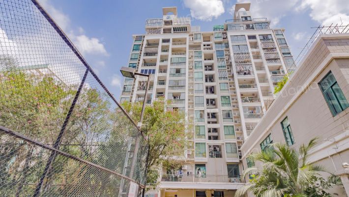 世纪东方外景图