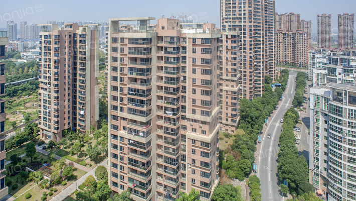 珠江花城三期外景图