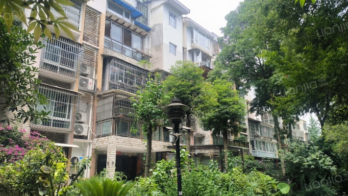 林涧花语外景图