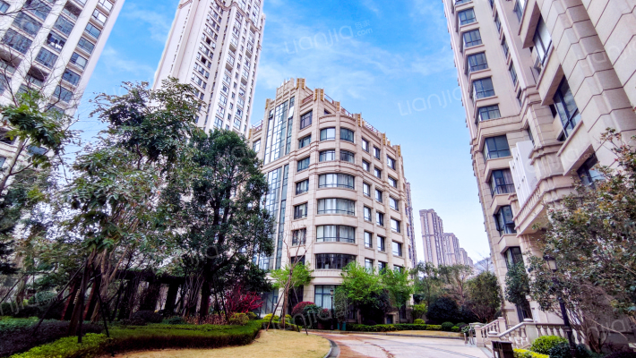 龙江壹号外景图