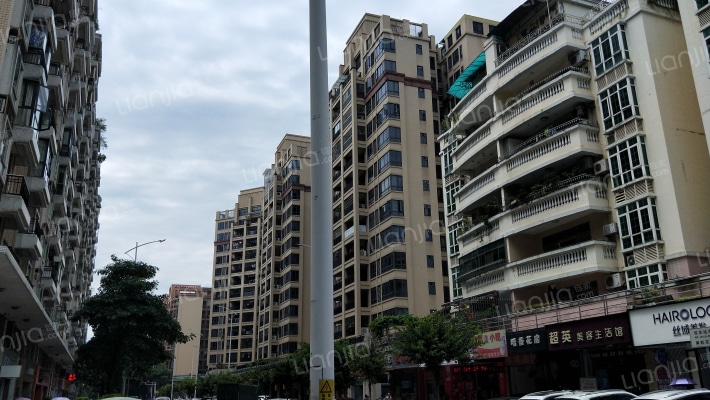 紫薇丽都外景图