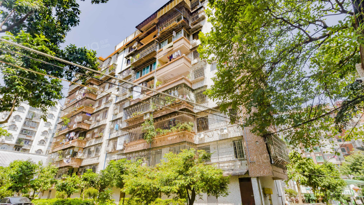 省生物药厂宿舍外景图