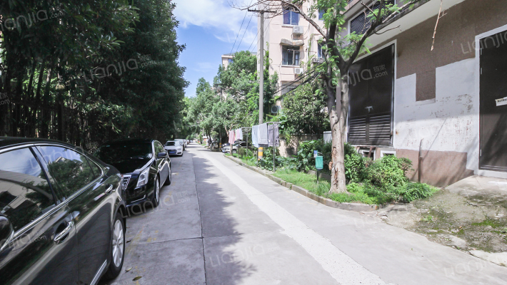 政立路545弄外景图