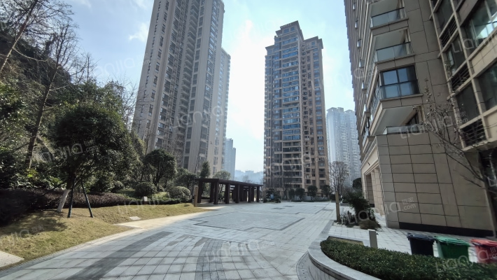 金龙·金色时代外景图