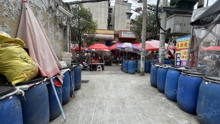 珠江路15号外景图