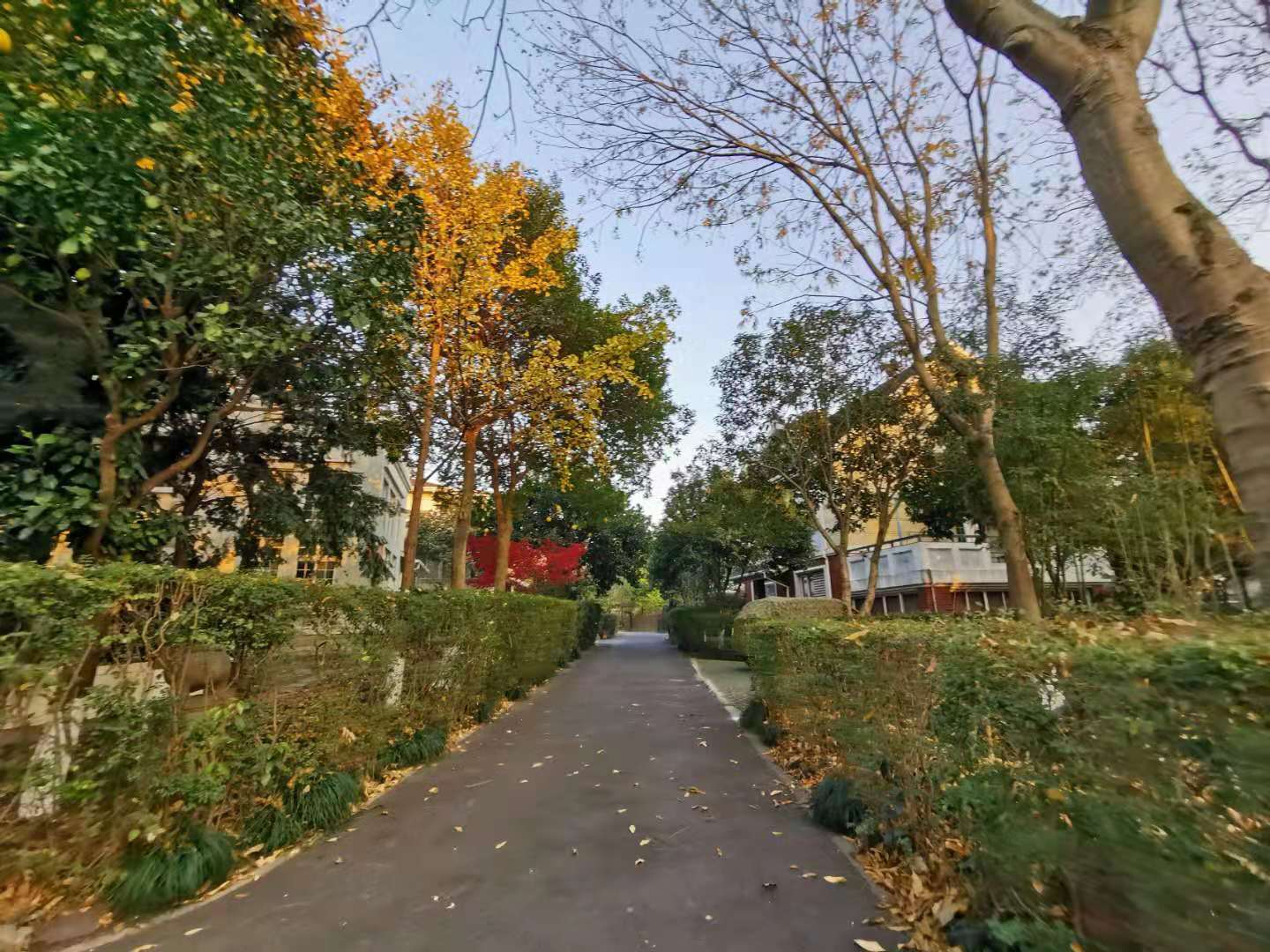 Jing Yue Bay compound photo 18