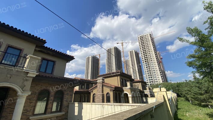 新湖仙林金谷别墅外景图