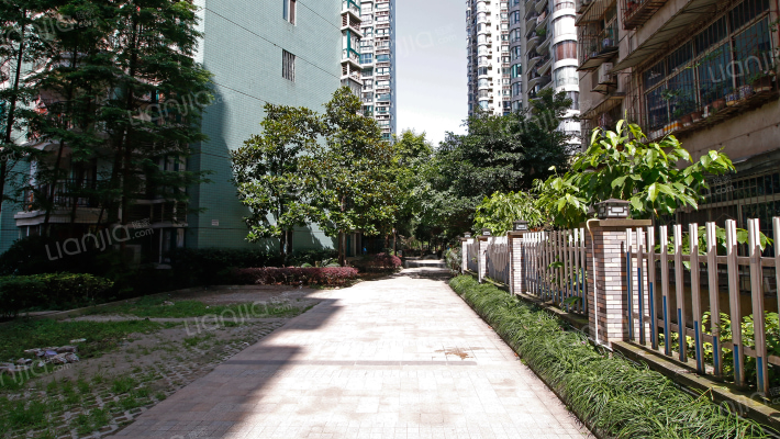 金桥彼岸外景图