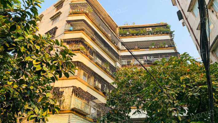 城门西路散盘外景图