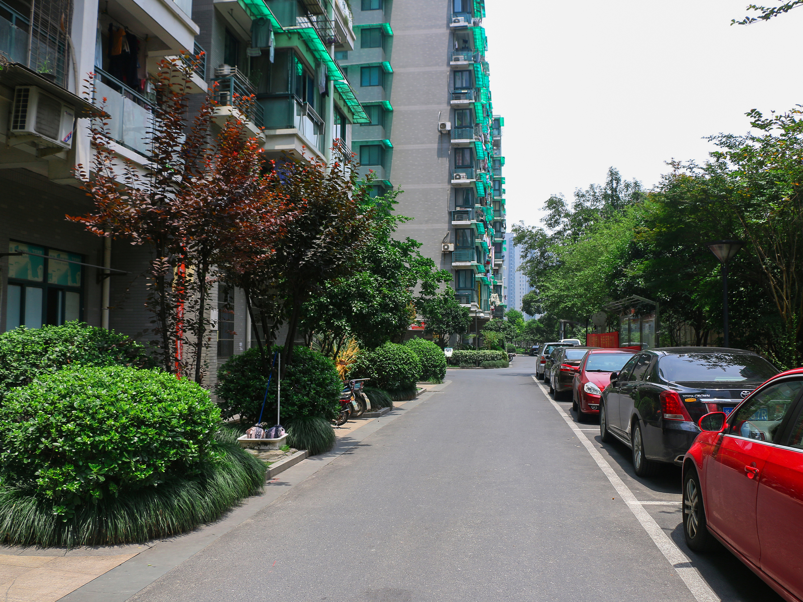 钱江六苑小区实景 10