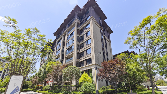 金科美辰外景图