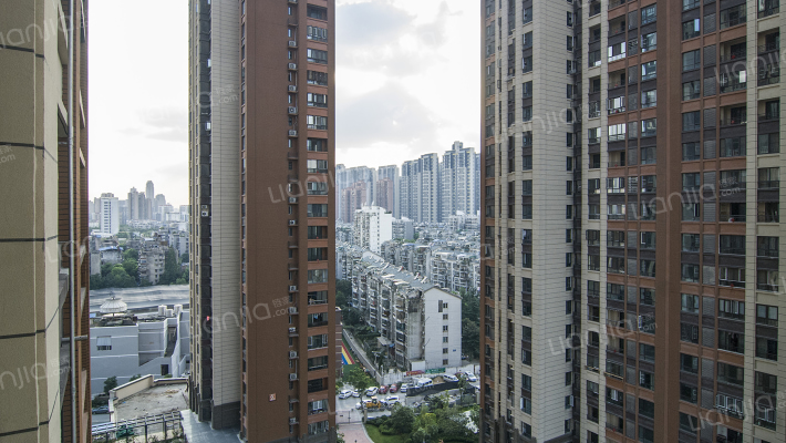 远洋心里外景图