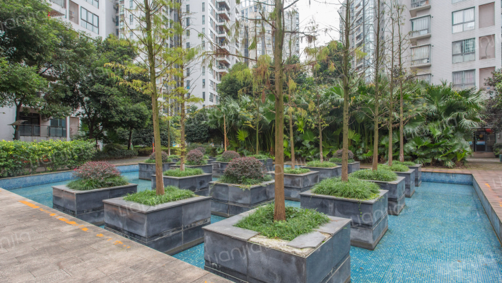 水木年华(长寿)外景图