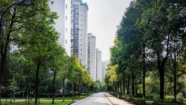 学城科苑外景图