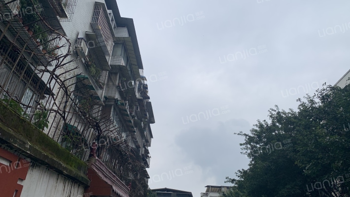 康居北巷111号外景图