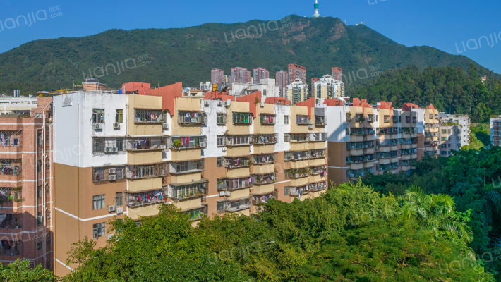 莲南商住楼一期外景图