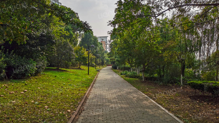 安亭新镇宾根花园(别墅)外景图