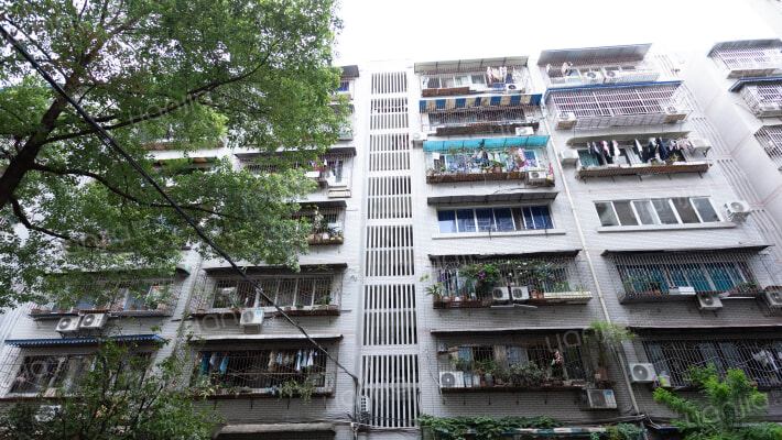 浣花北路16号外景图