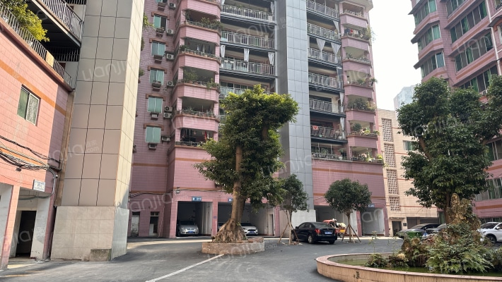 地税局家属院外景图