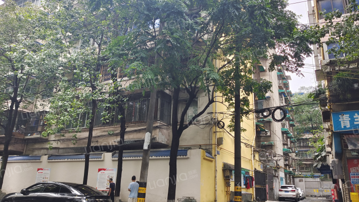 卫民巷19号外景图