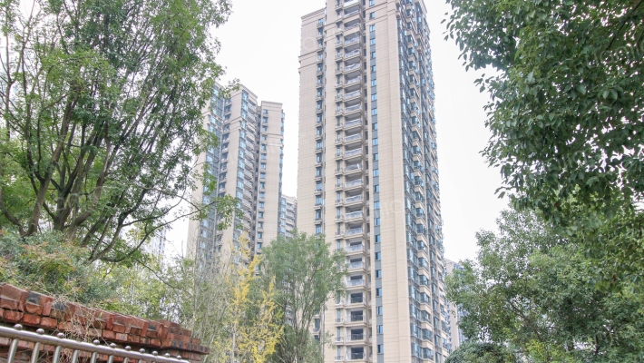 恒大滨河左岸外景图