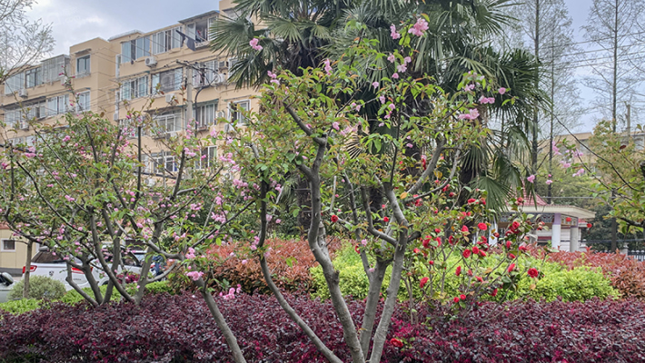 宝林二村外景图